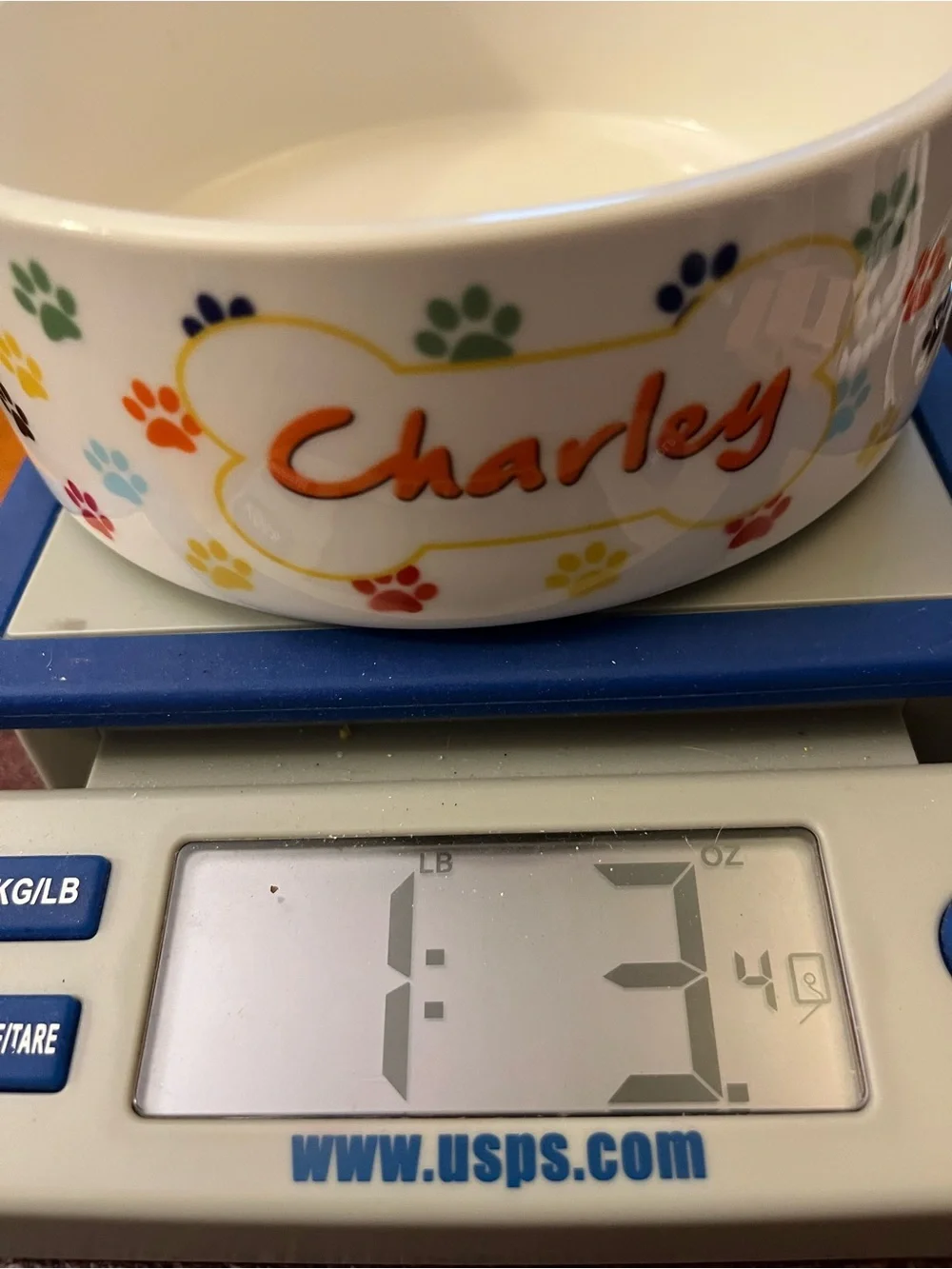 Personalized Heavy Ceramic Dog Bowl For Charley Colorful Cute Paw Prints